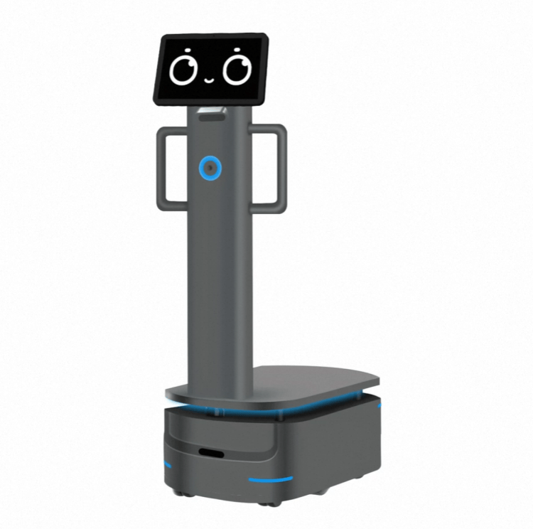 Robot Muatan Berat untuk Penghantaran Industri